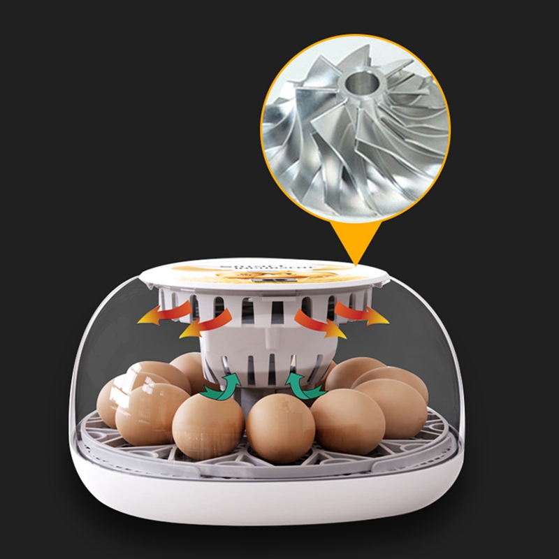 12 Eggs Incubator With Auto Egg-Turning, Auto Water Refill, For Hatching Chicken Pigeon EU Plug