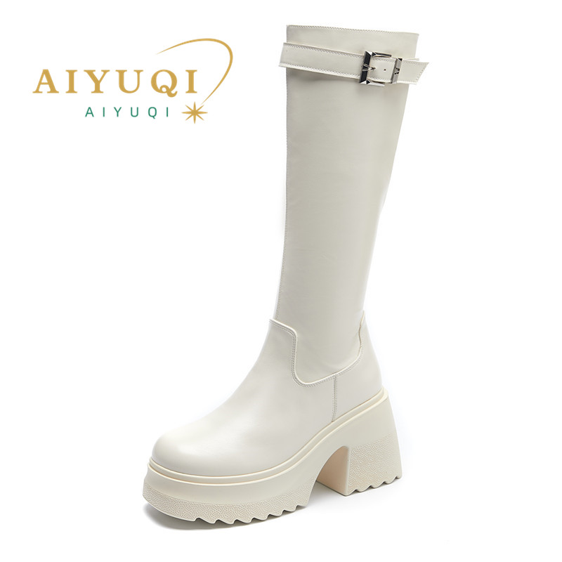 AIYUQI Long Boots Women 2024 New Women's High Heel Boots 10cm Heel High Platform Fashion Skinny Rider Boots Women