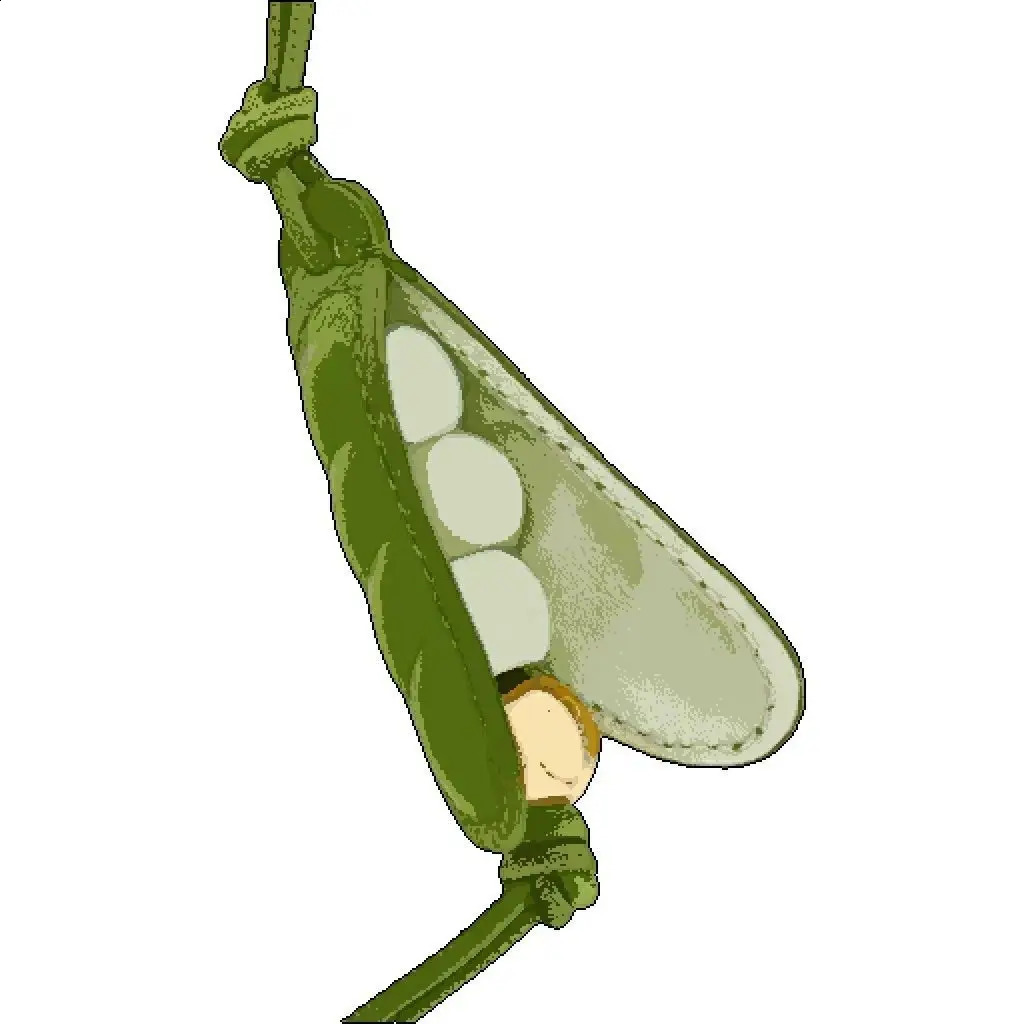 Pea classic fresh bean pod handmade ethnic style car interior key pendant bag accessories 240902 zhanyishengli