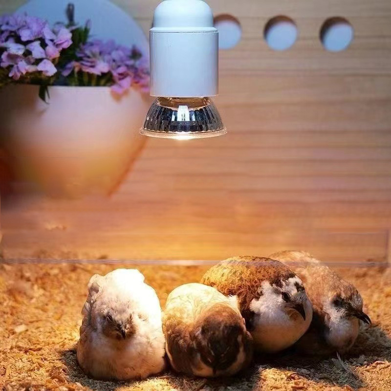 E27 110-220V 25/50/75W Reptile UVA Heat Lamp Pet Heat Lamp Tortoise Lizard Reptile Heater Lamp Emitter Suitable for Pet Bird