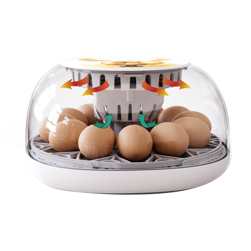 12 Eggs Incubator With Auto Egg-Turning, Auto Water Refill, For Hatching Chicken Pigeon EU Plug