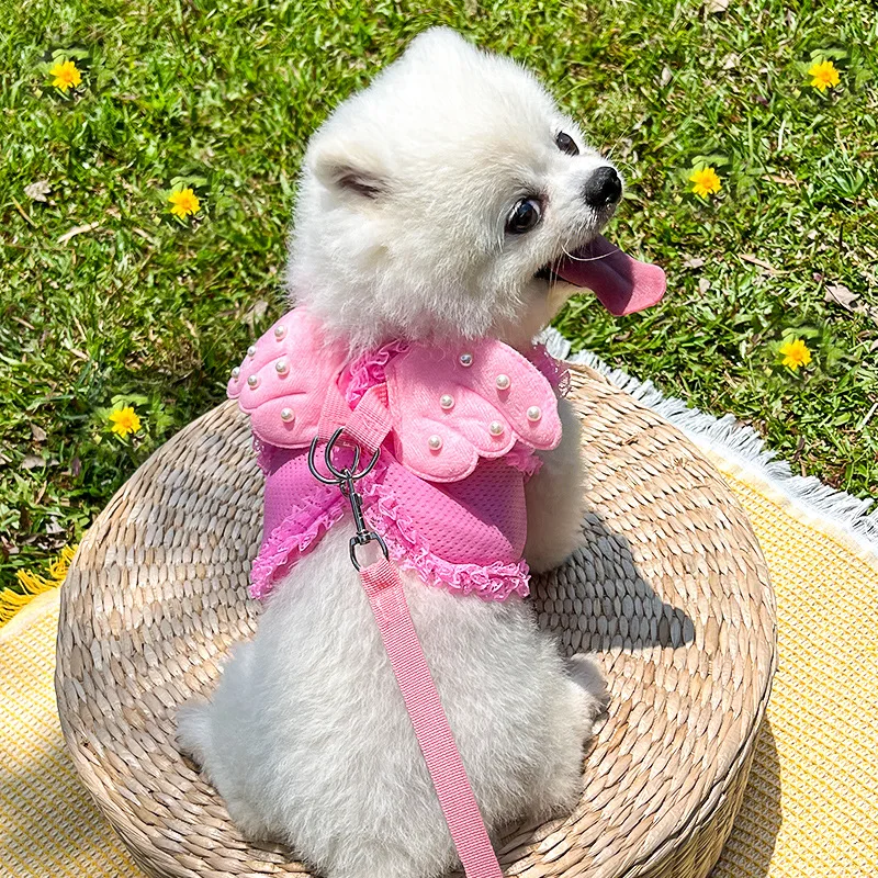 Cute Angel Wings Dog Harness Breathable Mesh Leash Set for Small Dogs Puppy Chest Collar Spring Summer Dog Walking Pet Supplies