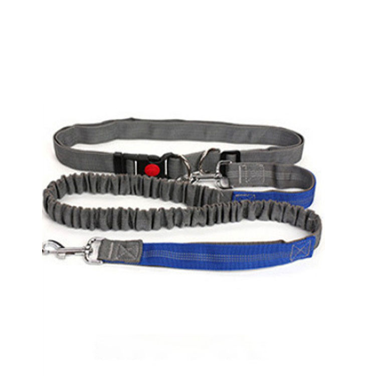 Halloween Outdoor Dog Leash with Elastic Band and Nighttime Safety Feature
