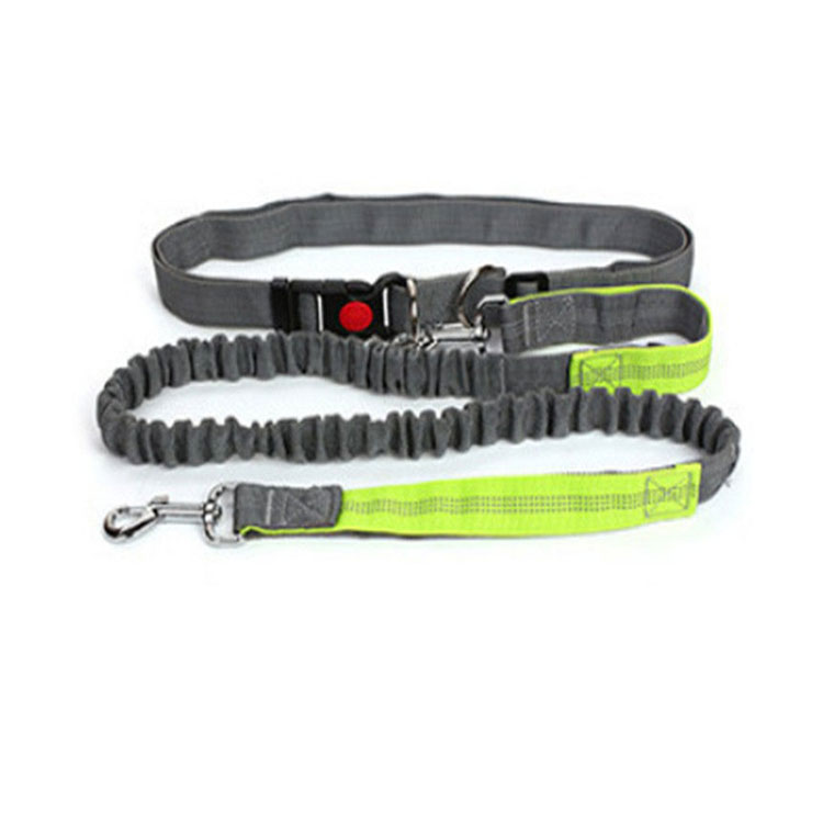 Halloween Outdoor Dog Leash with Elastic Band and Nighttime Safety Feature