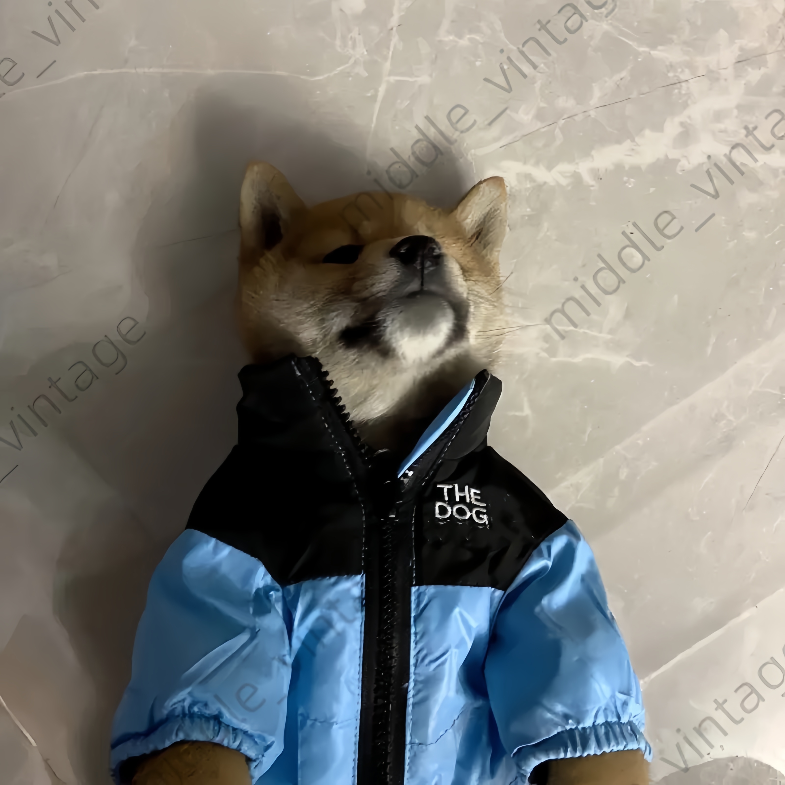 2025 new Trendy Extra Layer of Comfort Tiny Canines Fashionable Dog Coat - Thickened Jacket for Small Dogs with Four-Corner Design Winter We