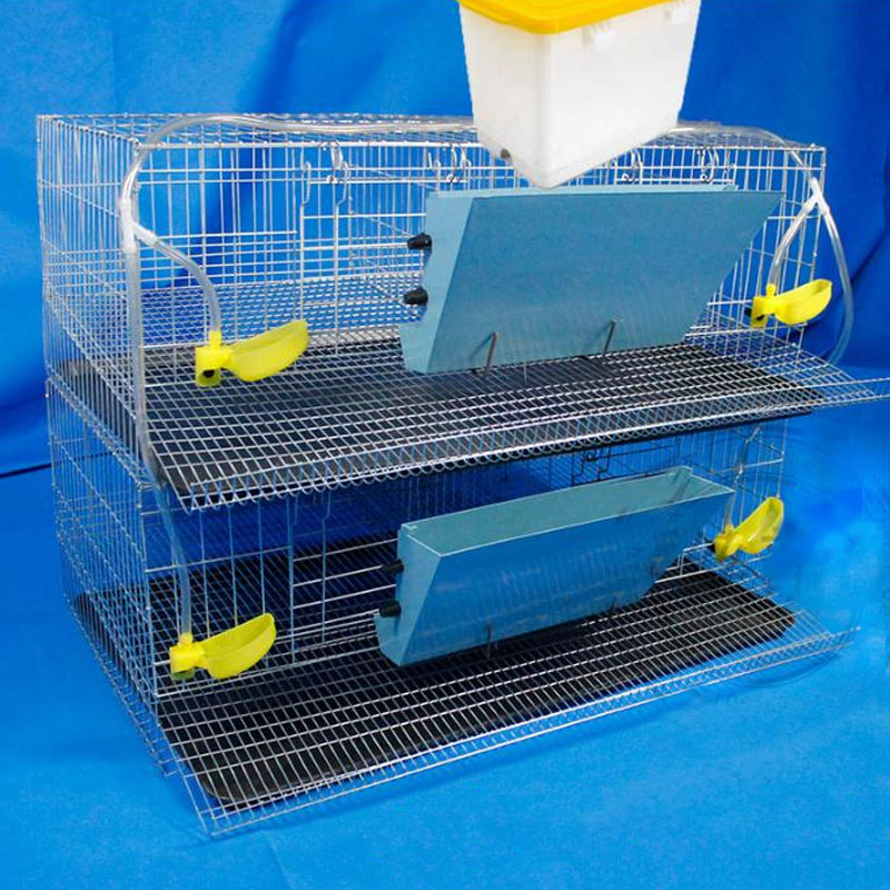 1SET Large Specifically Family Farm quail chick birds Partridge pigeon parrot egg laying cage house breeding cage factory price