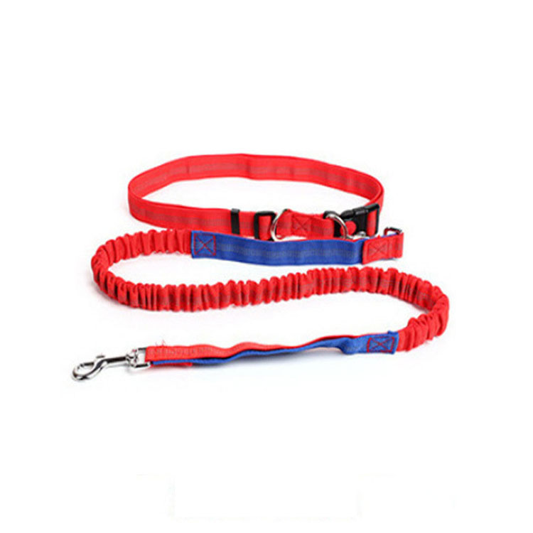 Halloween Outdoor Dog Leash with Elastic Band and Nighttime Safety Feature