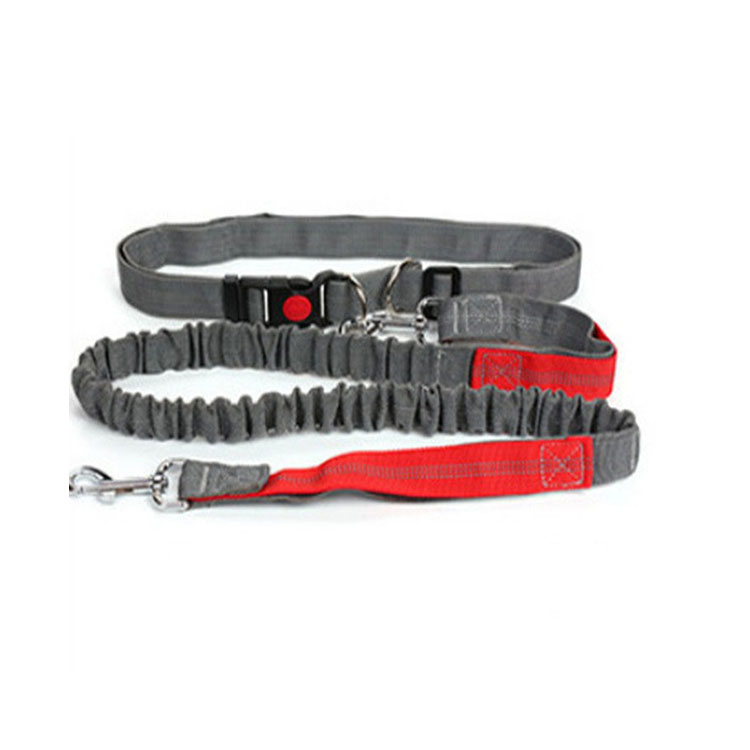 Halloween Outdoor Dog Leash with Elastic Band and Nighttime Safety Feature