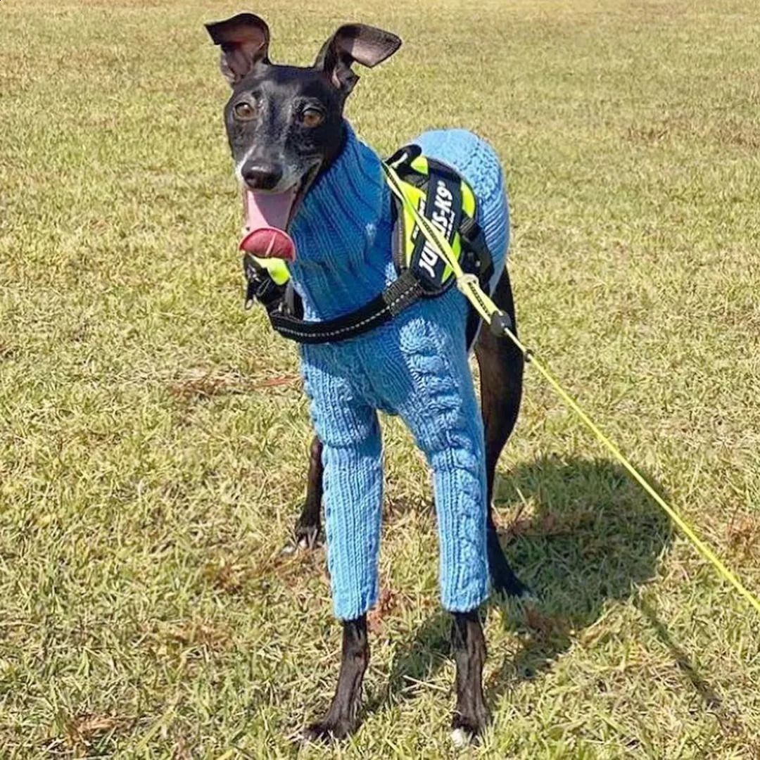 Turtleneck Twist Knitted Sweater for Dogs Italian Greyhound Whippet Warm Dog Coat Dogs Winter Clothing 240904CJ