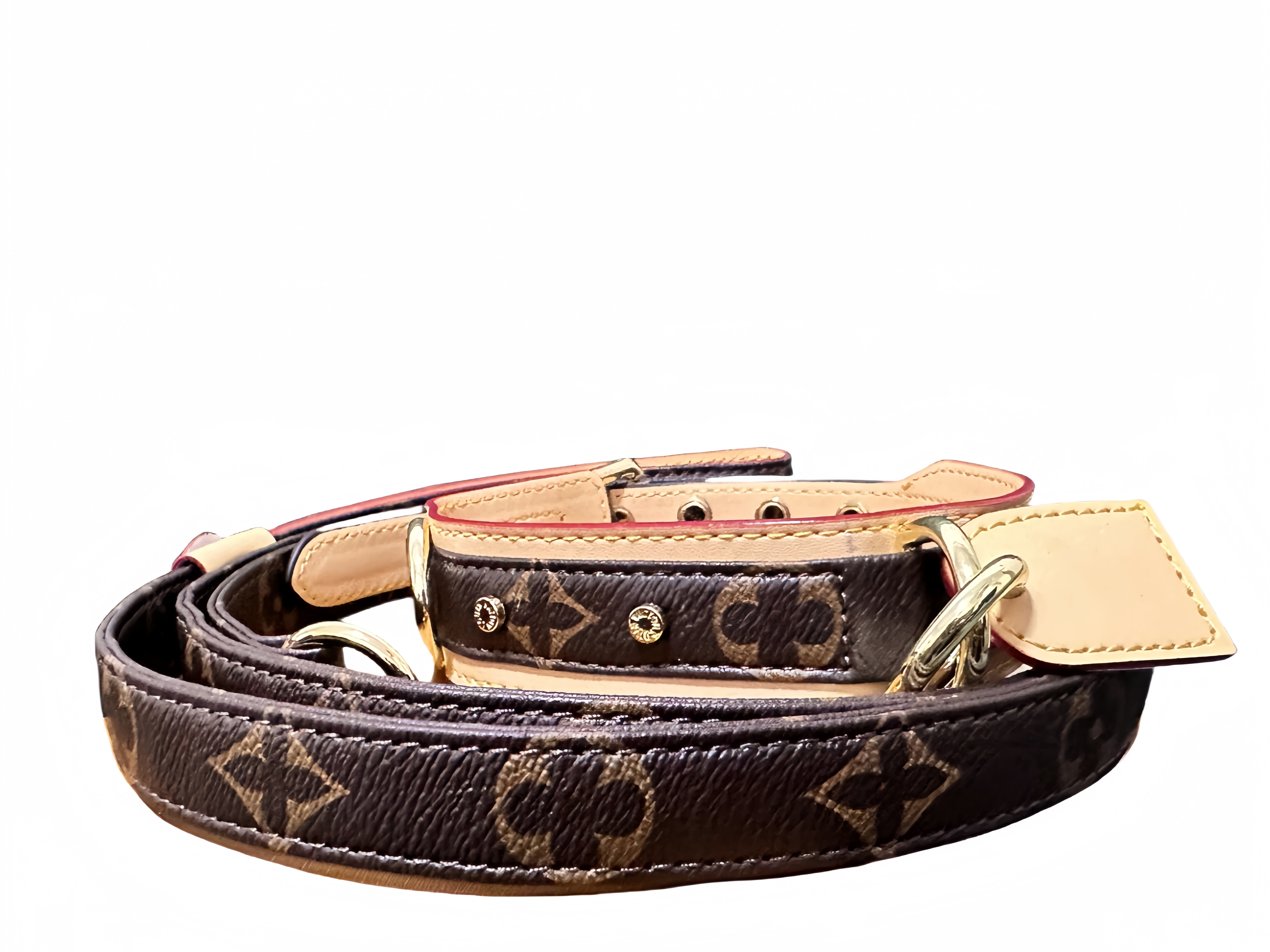 Leather Breakaway Pet Collar for Small to Medium Dogs wer Print FDA Certified 2024 Design