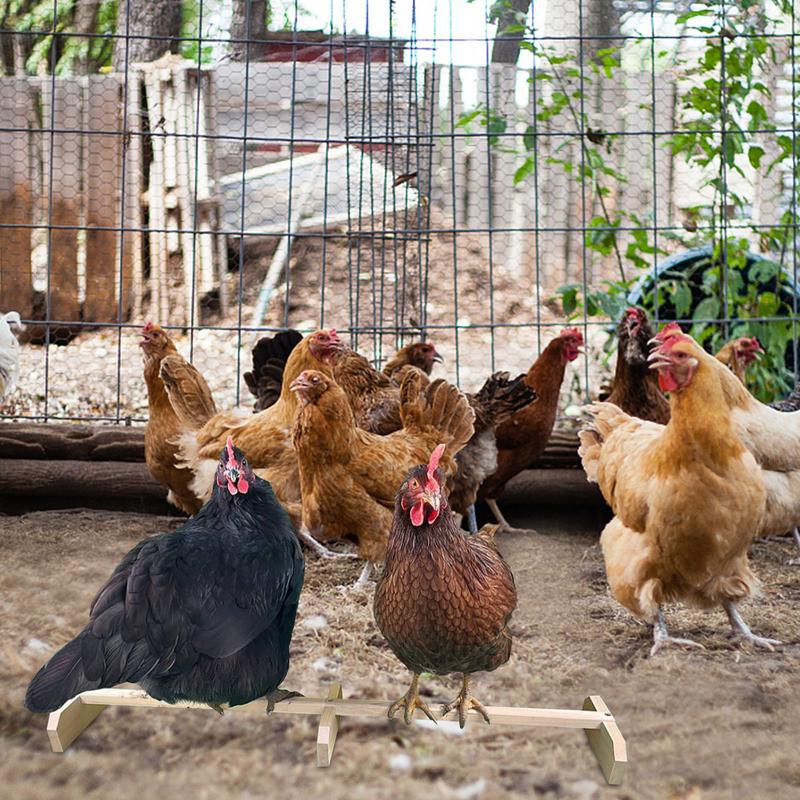 Chicken Perch Wooden Stand Strong Solid Stable Birds Chicken Perch Resting Bar For Coop / Backyards / Brooders
