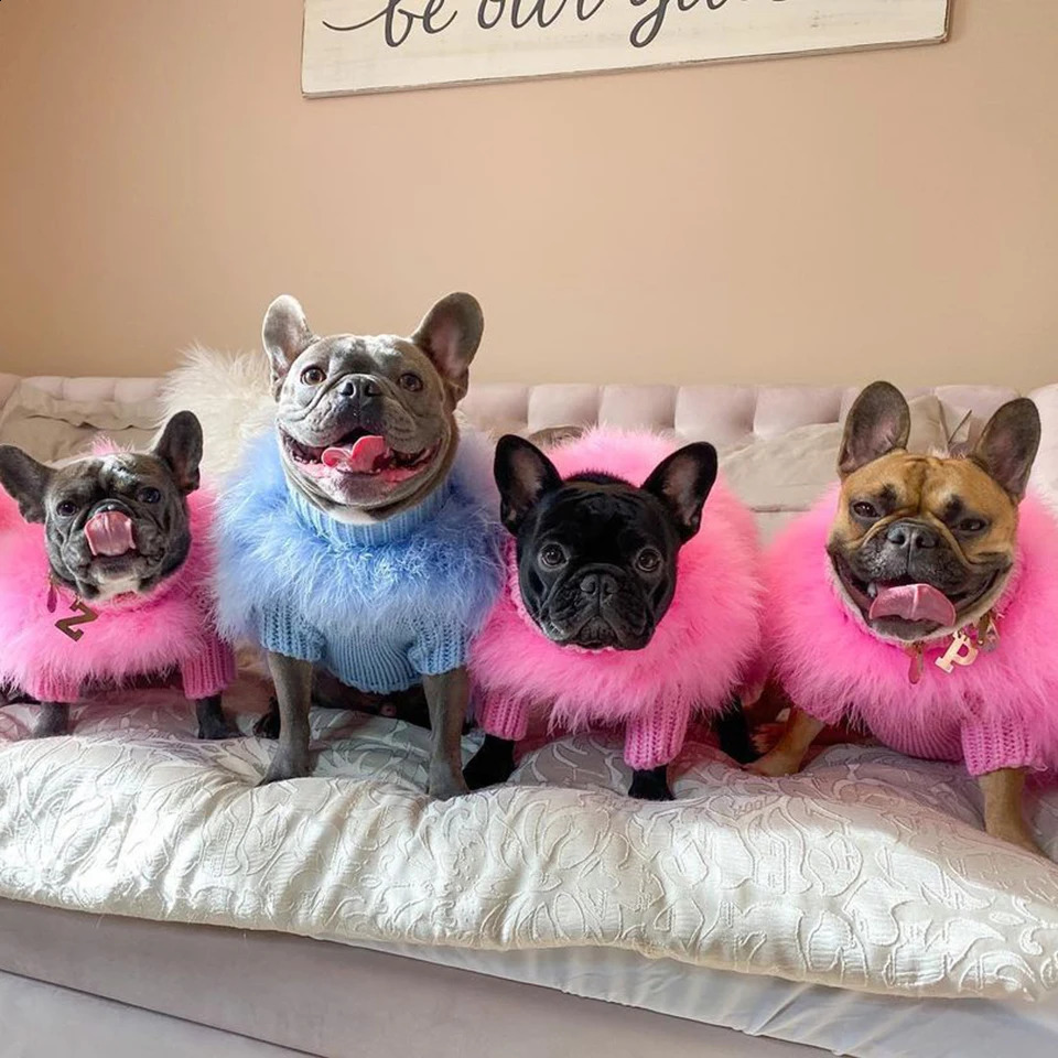 NONOR Fur Dog Coat Autumn and Winter Warmth French bulldog Pug Bichon Dog Sweater Pet Warm Core Yarn Pet Clothes 240904