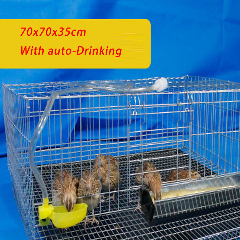 1SET Large Specifically Family Farm quail chick birds Partridge pigeon parrot egg laying cage house breeding cage factory price