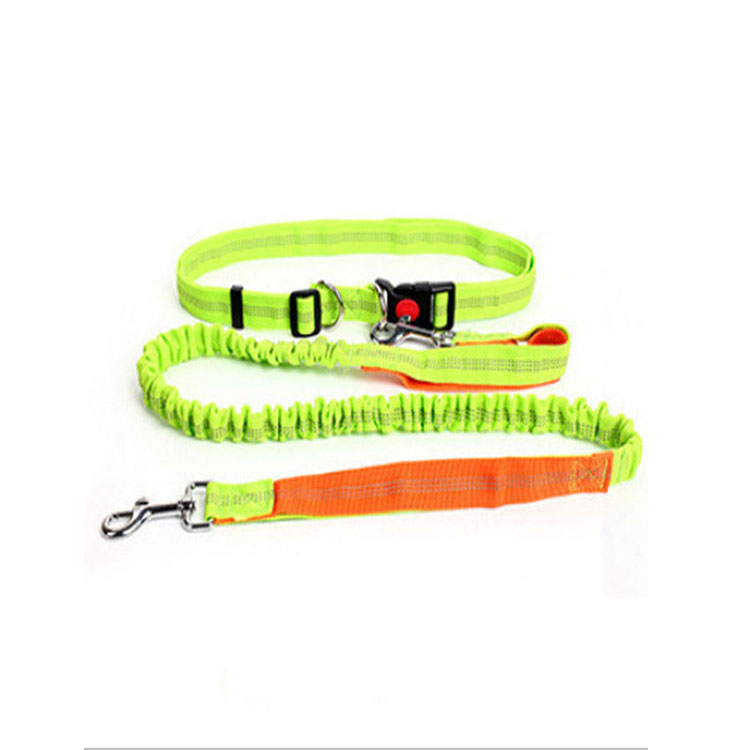 Halloween Outdoor Dog Leash with Elastic Band and Nighttime Safety Feature