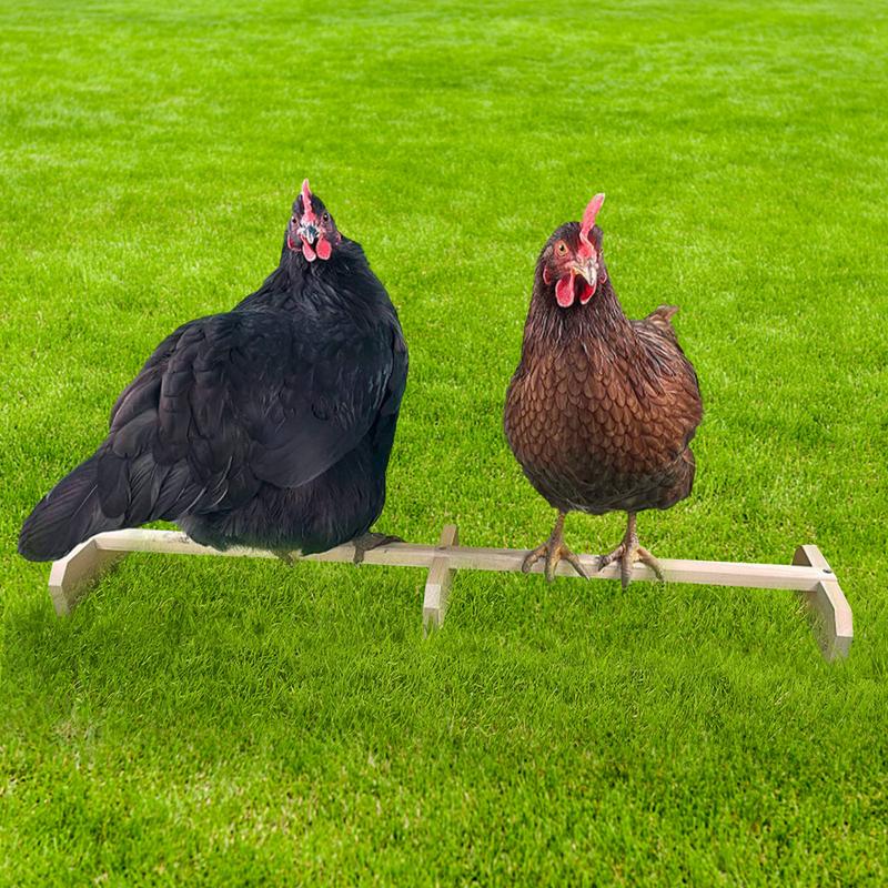 Chicken Perch Wooden Stand Strong Solid Stable Birds Chicken Perch Resting Bar For Coop / Backyards / Brooders
