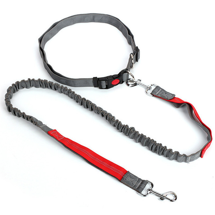 Halloween Outdoor Dog Leash with Elastic Band and Nighttime Safety Feature