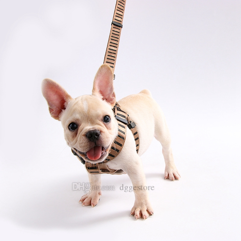 free shipping Collars Leashes Set Designer Dog Leash Seat Belts Pet Collar and Pets Chain for Small Medium Large Dogs Cat Chihuahua Poodle Bulldog Cor