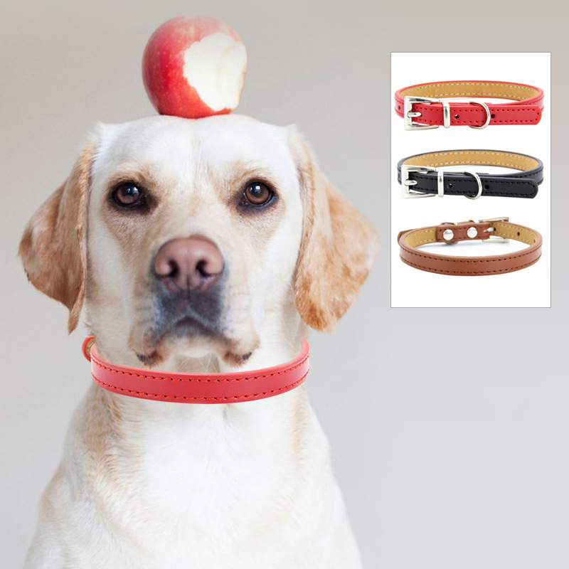 halloween Pet collar Adjustable buckle leather leash Pet cat collar Dog supplies collar collar