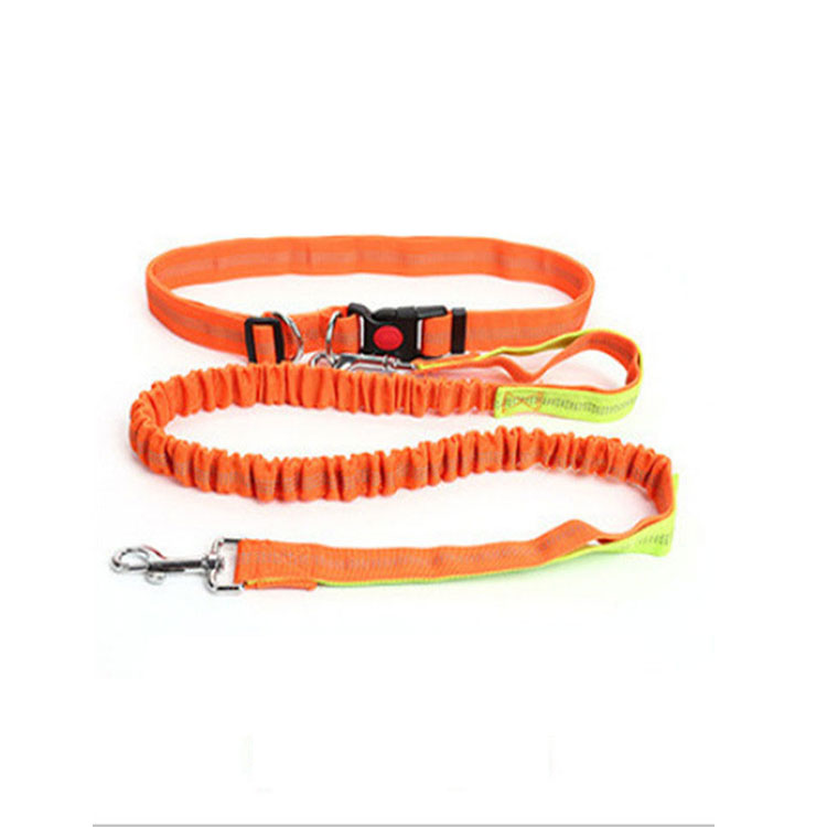 Halloween Outdoor Dog Leash with Elastic Band and Nighttime Safety Feature