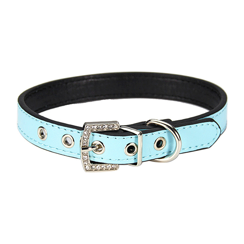 halloween Pet collar Black border steam eye decoration lead dog with diamond buckle head leather dog neck collar collar Steampunk Eye Decoration