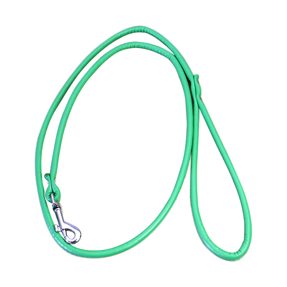 halloween Pet supplies pet dog leash accessories wholesale PU leather leash