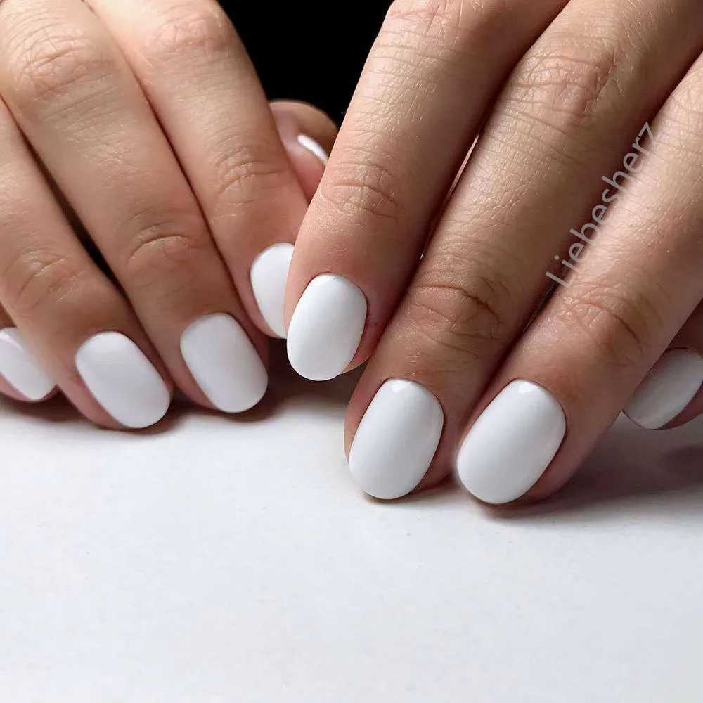 24 shiny wine red oval shaped short fake nails designed for DIY finger tip manipulation tools W240905