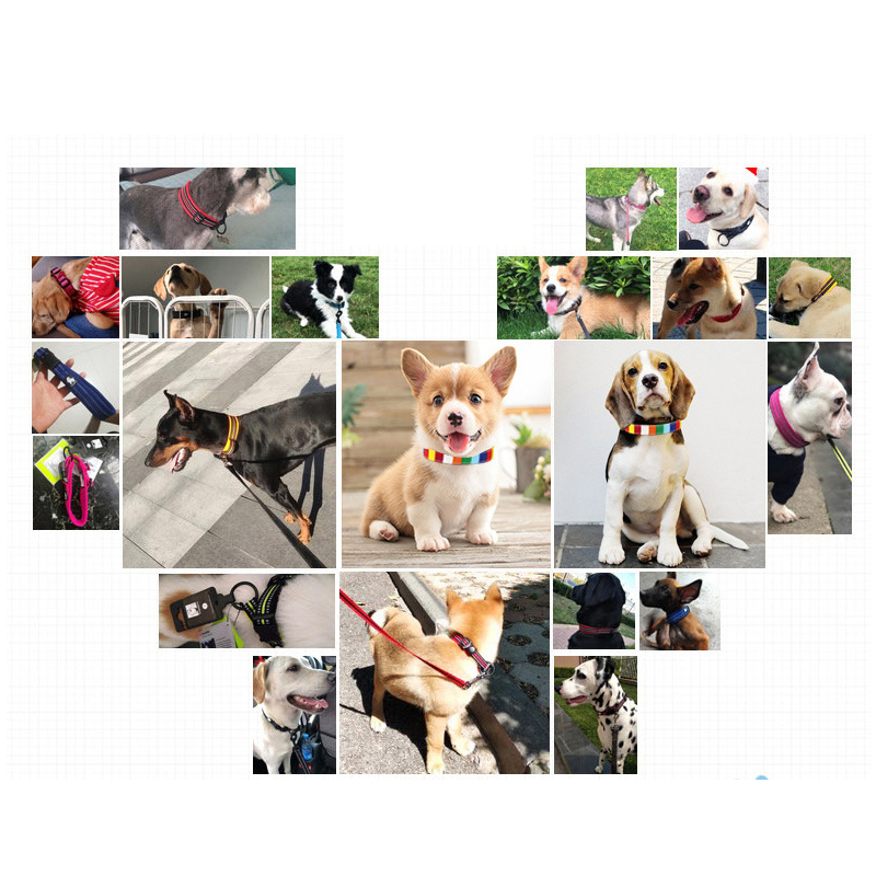 halloween Carefully selected rainbow stripe pet dog collar canvas PU alloy buckle head matching traction rope pet collar