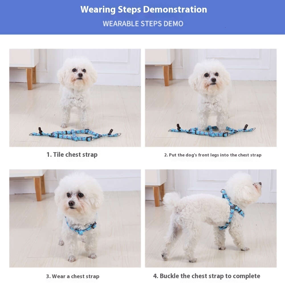 Mischievous Arrow Jacquard Traction Chain Walking Rope Collar Small Dog Medium Large Teddy