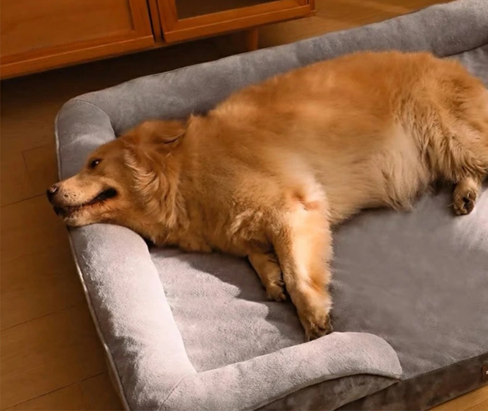 Large Orthopedic Dog Bed - Washable Pet Sofa Support Foam with Removable Cover & Waterproof Lining