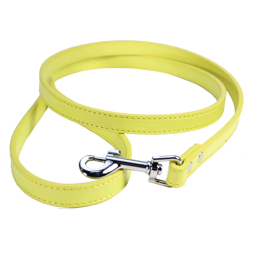 Halloween pet dog leash dog PU leather dog chain leash outside leash wholesale