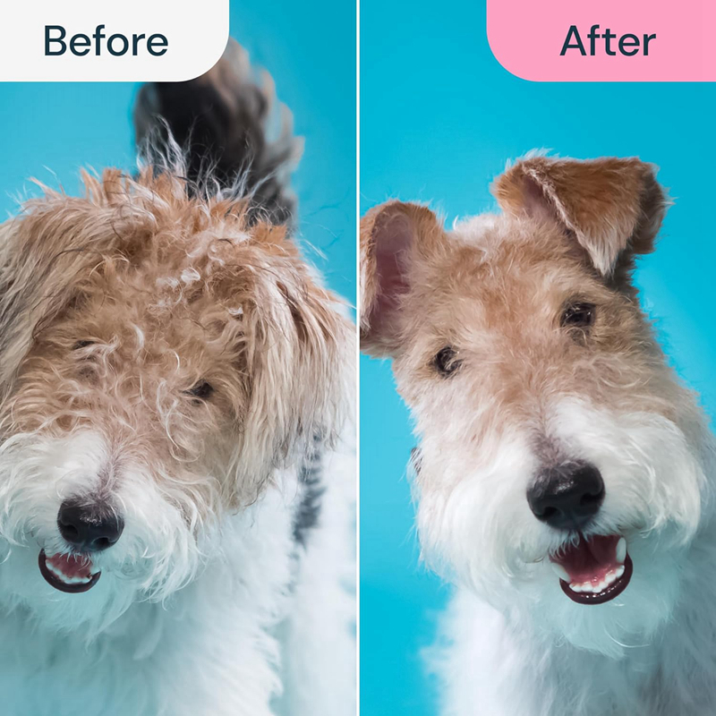Dog Cat Grooming Brush for Shedding- 2 in 1 Deshedding Tool and Undercoat Rake for Long and Short Haired Cats and Small Dogs with Double Coat Matted P