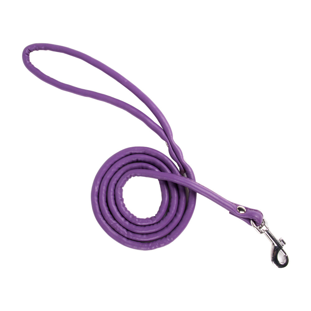 halloween Pet supplies pet dog leash accessories wholesale PU leather leash