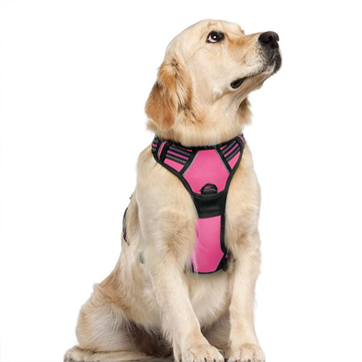 Halloween pet supplies New pet chest harness explosion-proof punching large dog chest back reflective breathable vest traction rope