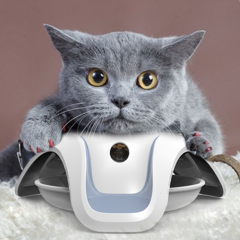Interactive Leakage Puzzle for Cats: Engaging Self-Fun Toy