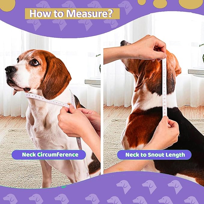 Dog Cone Collar After Surgery, Adjustable Breathable Pet Reecovery Cone for Large Medium Small Size Dog, Wound Care Recovery Collar, Black/gray
