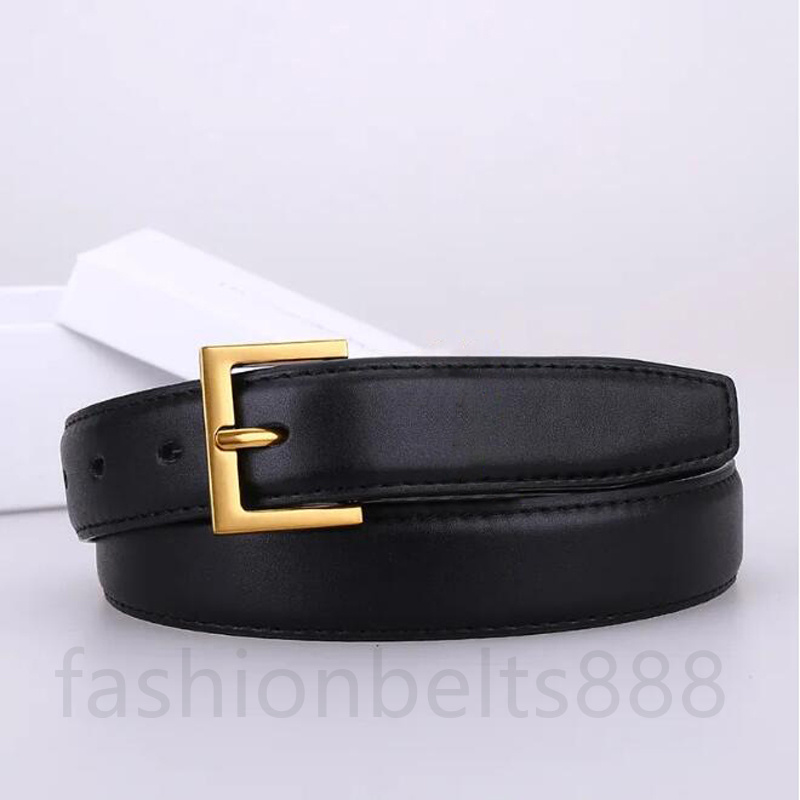 Designer belt women designer belts mens belt genuine leather needle buckle narrow classic daily outfit belts for womens ceinture luxe Cintura Uomo waistband