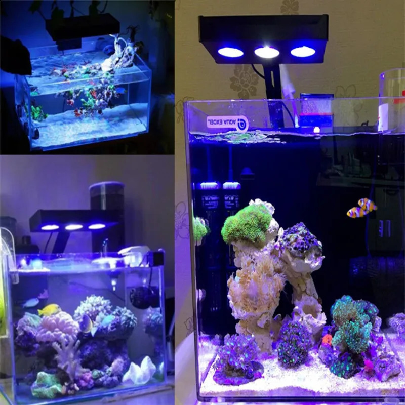 Spectra Nano M029 Aquarium Light 30W40W Saltwater with Touch Control Suitable for Coral Reef Fishbook1 240906