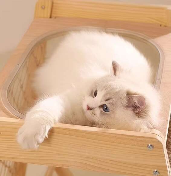 2024 New Pet Portable Travel Solid Wood Natural And Fresh Sisal Hammock Cat Tree Modern For Cats