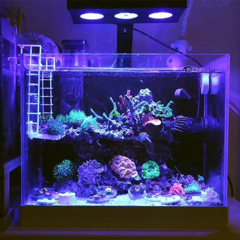 Spectra Nano M029 Aquarium Light 30W40W Saltwater with Touch Control Suitable for Coral Reef Fishbook1 240906