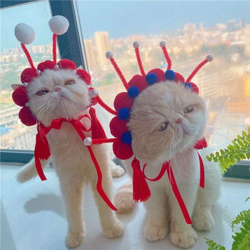 Pet wig, China-Chic cat headdress, New Year's celebration, dog hat, cute photo, Peking Opera cat headdress, antique Hallowmas