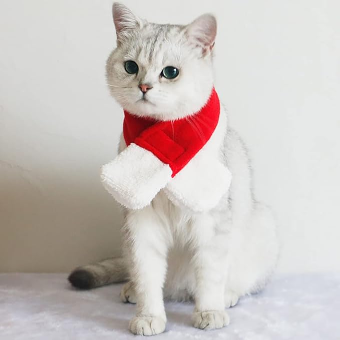 Cute Kitty Christmas Attire Bundle Includes Santa Cap and Soft Knit Scarf Accessories for Pets