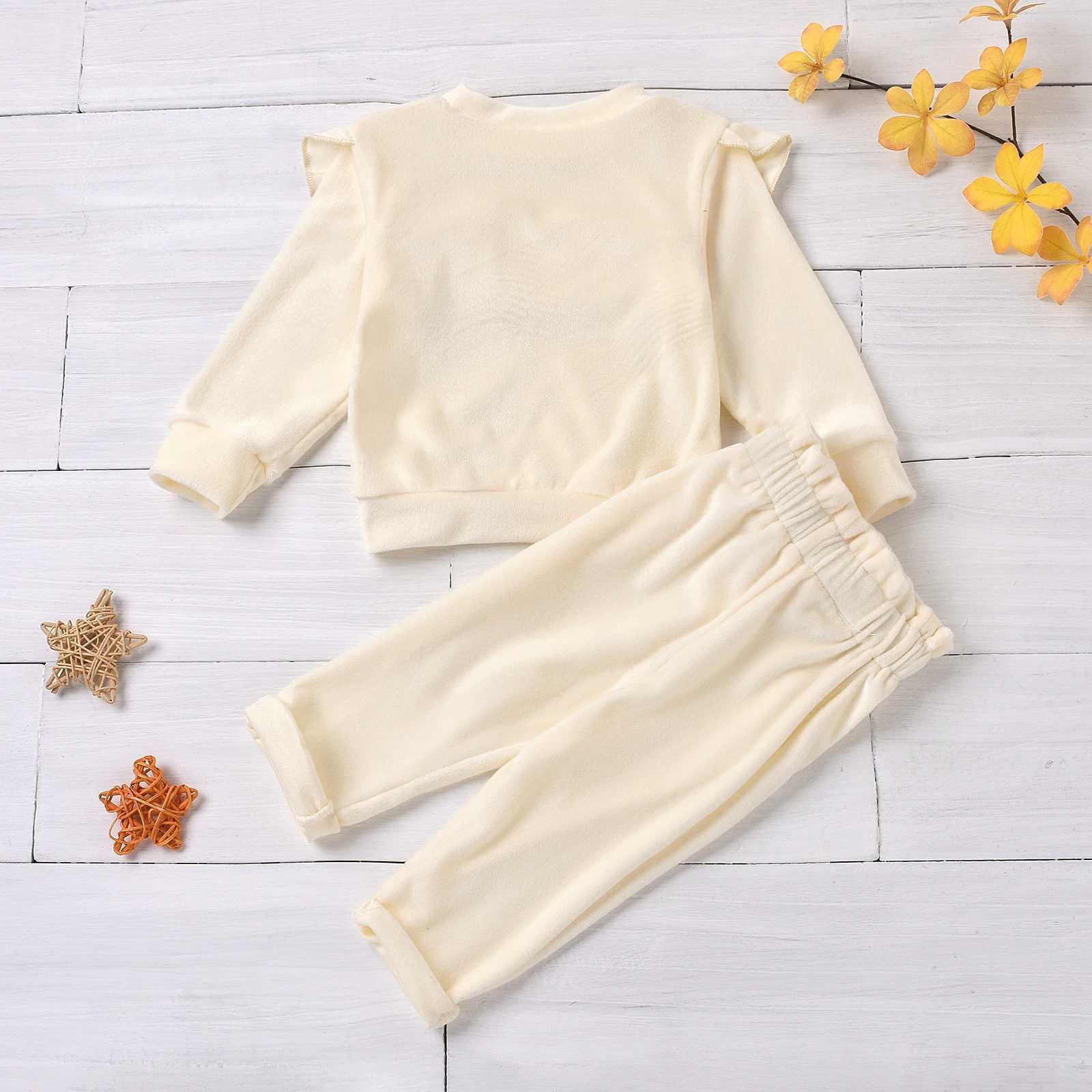 Clothing Sets 2PCS fall and winter models girls coral fleece warm Baby top pants comfortable H241126
