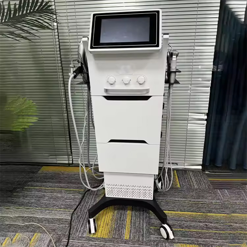 Professional 10 In 1 Skin Care Managment Device Treatment Deep Cleaning Pore Remover Machine Beauty Salon Equipment