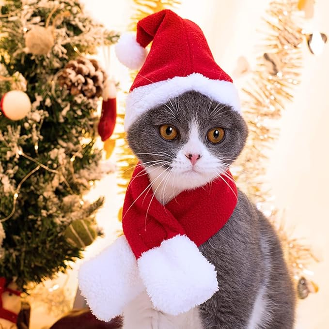 Cute Kitty Christmas Attire Bundle Includes Santa Cap and Soft Knit Scarf Accessories for Pets