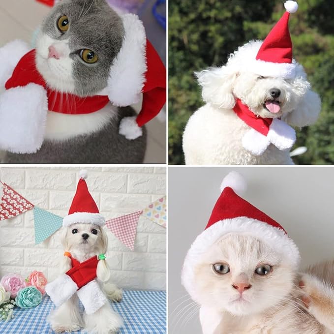 Cute Kitty Christmas Attire Bundle Includes Santa Cap and Soft Knit Scarf Accessories for Pets