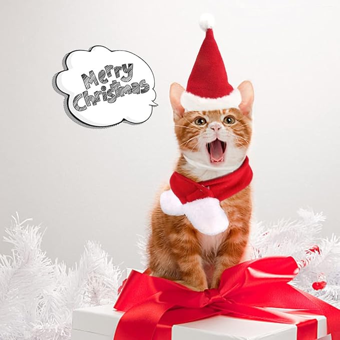 Cute Kitty Christmas Attire Bundle Includes Santa Cap and Soft Knit Scarf Accessories for Pets