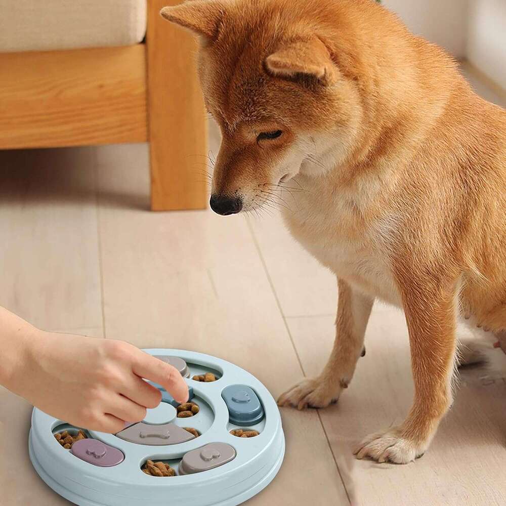 Puzzle toy feeder anti choking Slow food toys, cats, dogs, pet supplies, bowls Hot selg dog bowl puzzle game training