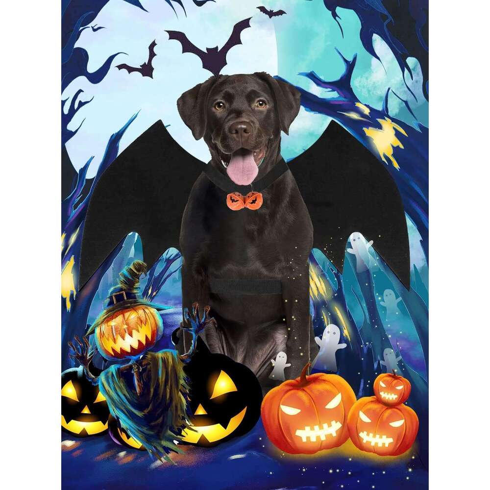 Bat Costume, Cosplay Party Dress Up Large Dog Black Halloween Little Wings Pet Costume Both small dogs cats are suitable