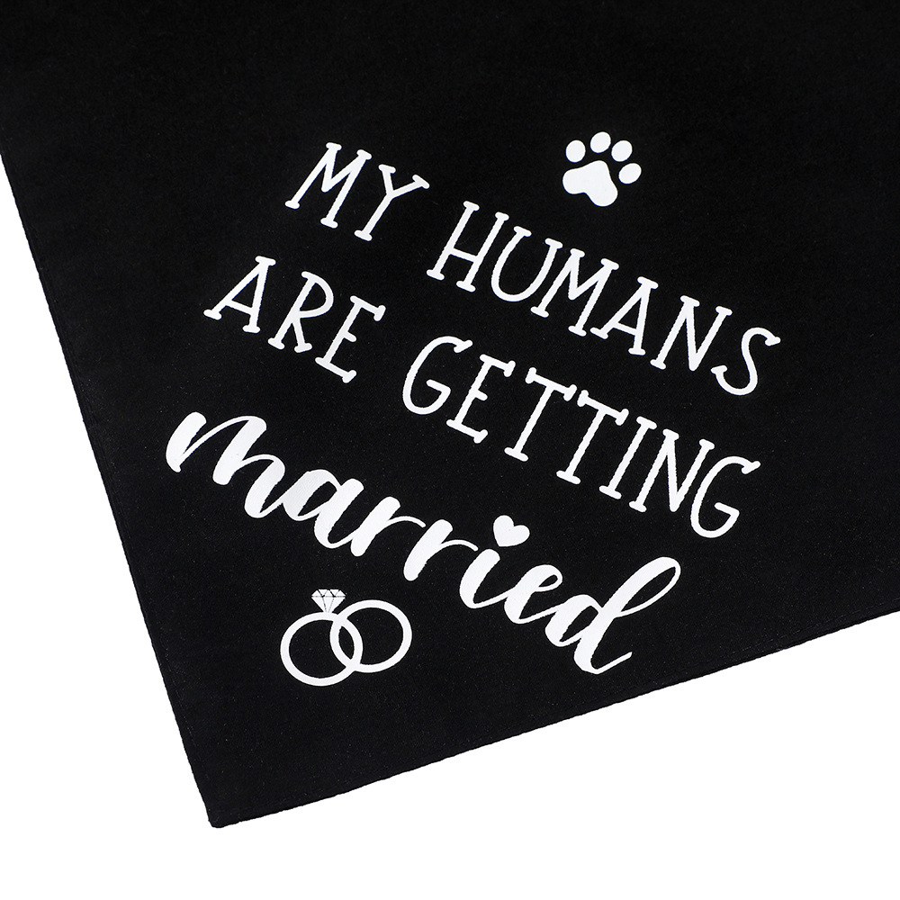 Custom Logo Designer Sublimation Blanks Cotton Customized Scarf Bandana For Cats Pets Bandanas Outfiit Dogs Birthday Holiday