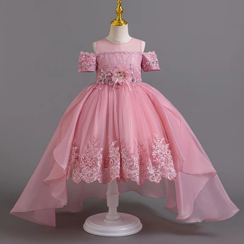 Summer Birthday Party Girl Elegant Evening Dress Fluffy Path Dress Embroidered Flower Girl Princess Dress 240902